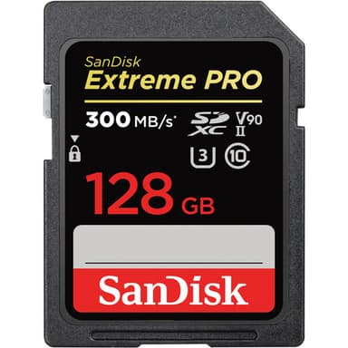 128 GB SD Card (v90)